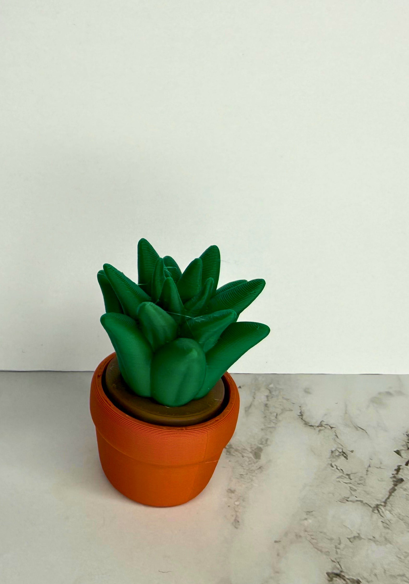 CL- Plants