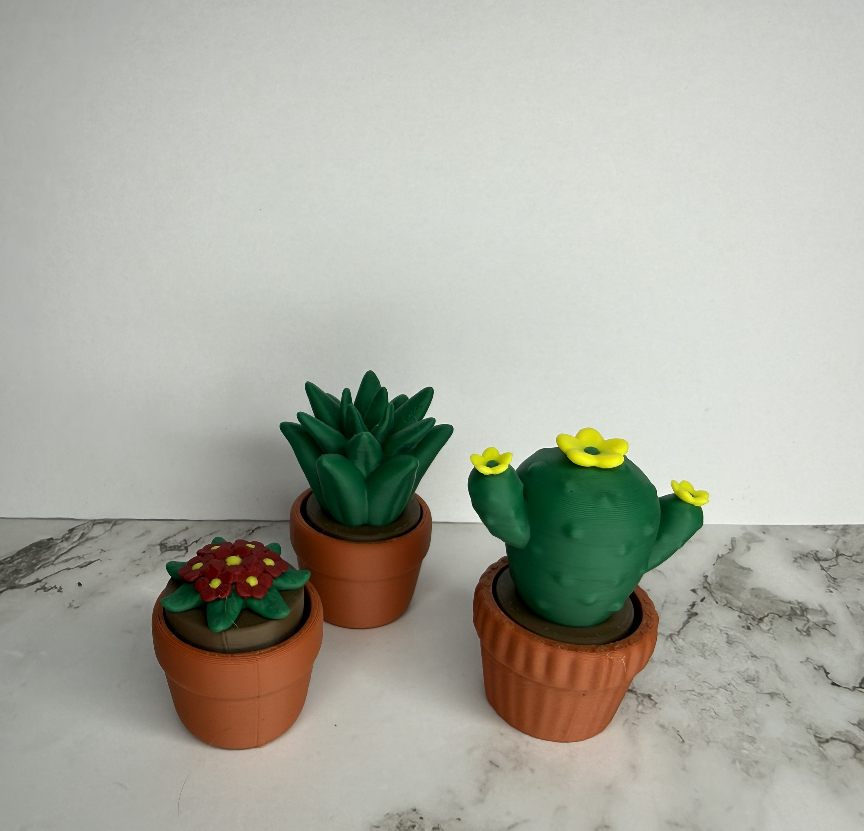 CL- Plants